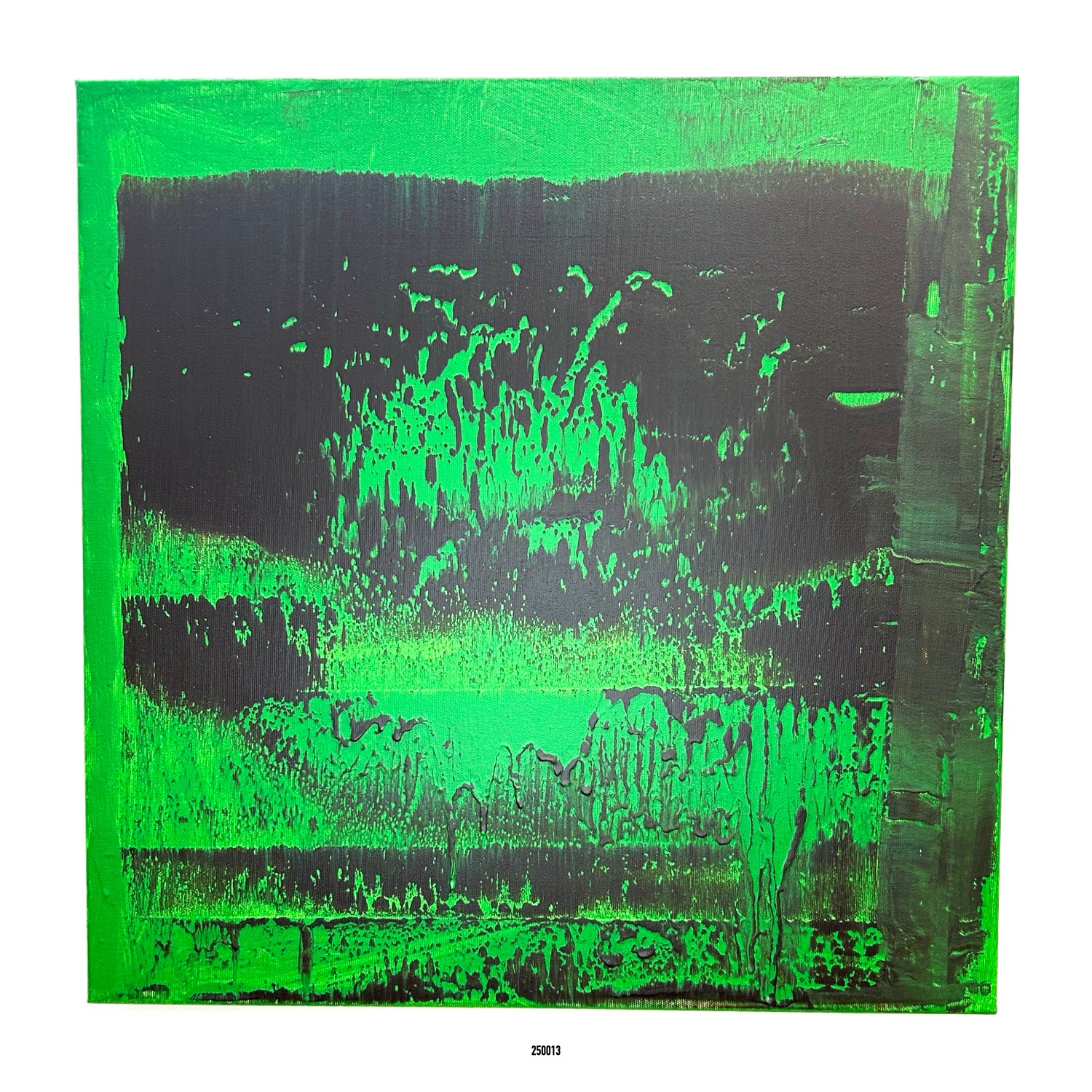 Artwork 250013